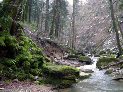 Хлоридно-натриевая минеральная вода минеральная вода Нижнесергинская